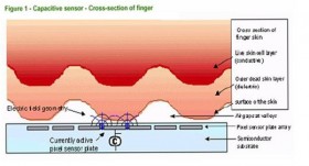 Fingerprint Recognition Technology via OmniPass v3.0 (Fujitsu)