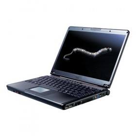 MSI S300 Crystal Collection Notebook