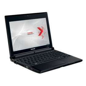 Toshiba NB500 Mini-Notebook