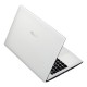 ASUS Notebook X501A
